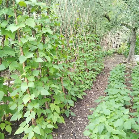 La Capuccina * Toscolano Maderno